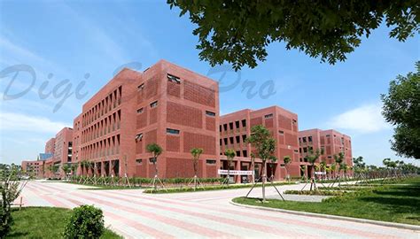 天津大学本科第二学位自考课程