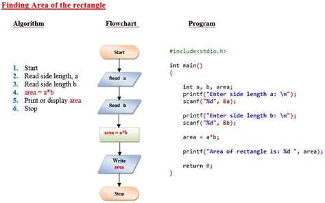 C++程序算法课程