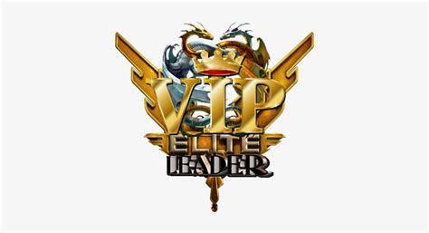 美国名校VIP直通车项目