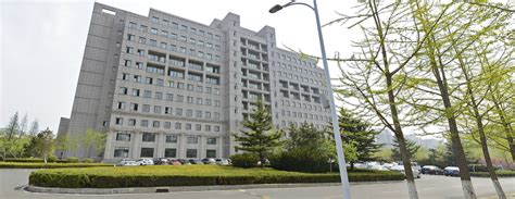 东北财经大学网络教育课程