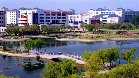 烟台大学成人高考课程