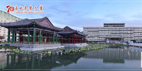 东北农业大学网络教育课程