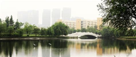 西南财经大学自考网络课程