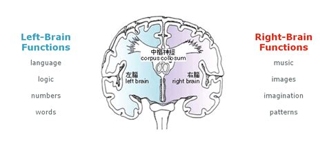 左右脑开发能力激发课程