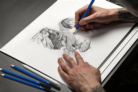 专业素描精品课程