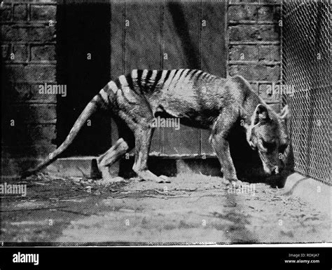 半年制化妆造型首席特色课程