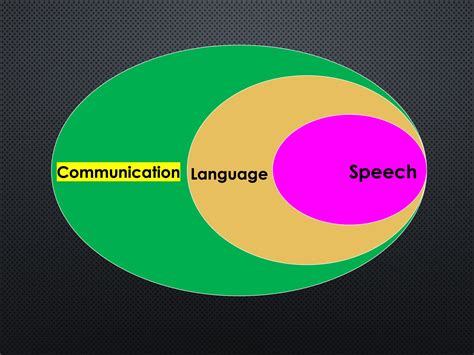 一对一语言迟缓干预课程