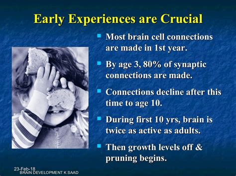 婴幼儿脑神经发育特色课程