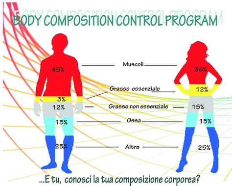 楚天杯作文集训精品课程