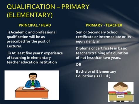 中小学教师资格证笔试课程