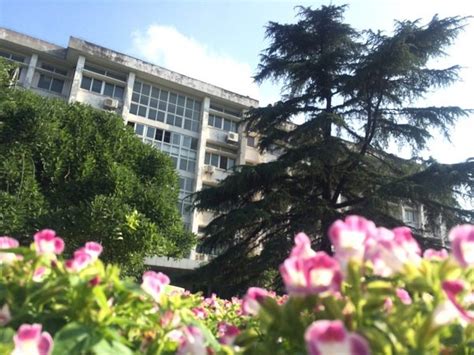 华中师范大学成人高考培训课程