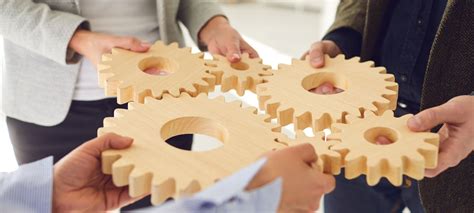 美国留学申请高端定制项目