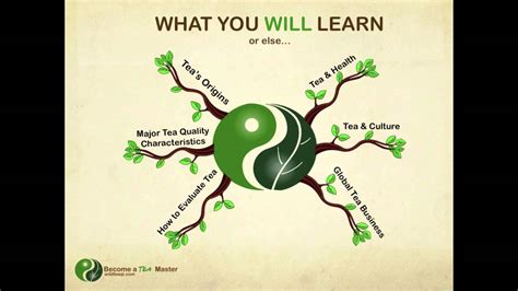 中高级茶艺师技能提升课