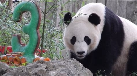 爱贝生日会特色课程