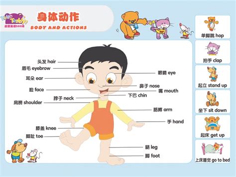 学龄前儿童英语启蒙探索课程