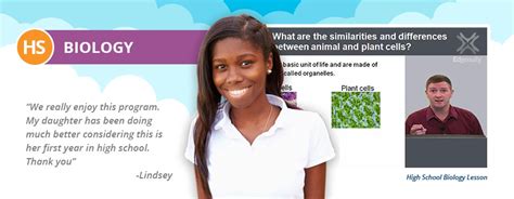 高中生物1对1课程