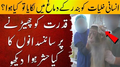 0-6岁全脑中文早教课程