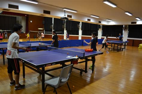 初升高特色衔接课程