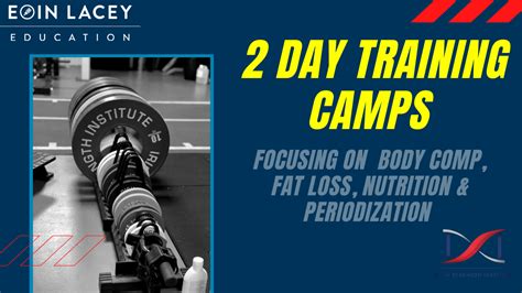 2023考研百日集训营课程