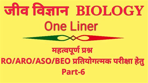 高中生物一对一个性定制课程