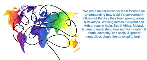 6周-6岁脑神经发育课程