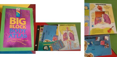 创意材料作品集特色课程