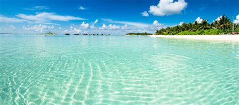 葡萄牙语中级B2课程