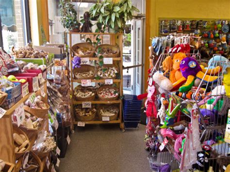 干货口才提升线上课程