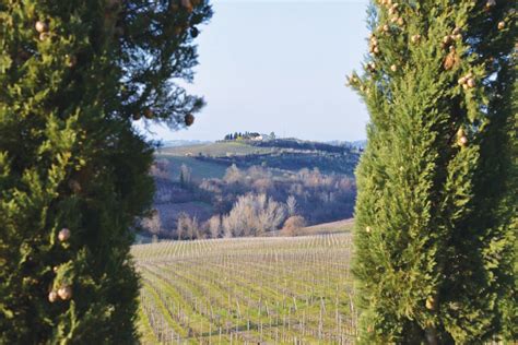 意大利语精讲特色课程