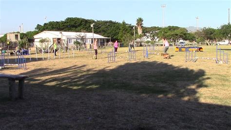 雅思冲刺提高课程