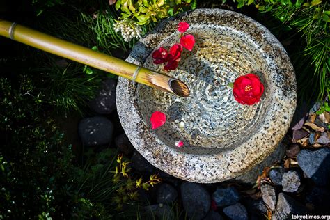 日语春季特色小班课程