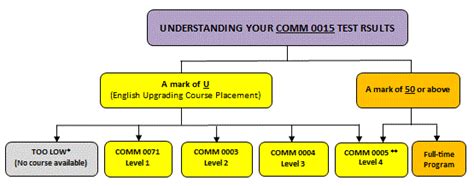 计算机等级考试提升课程