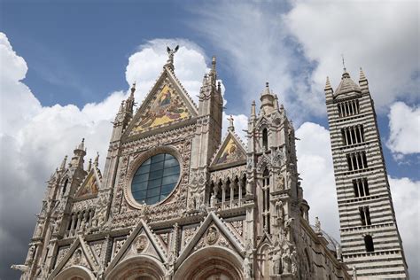 锡耶纳考前精品课程