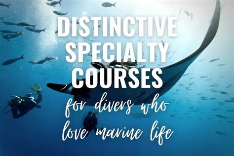 影视表演专业特色课程