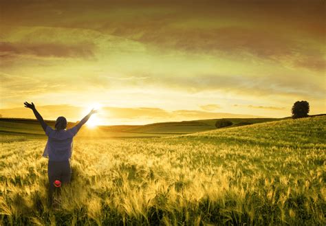 托福90争100全程精品课程