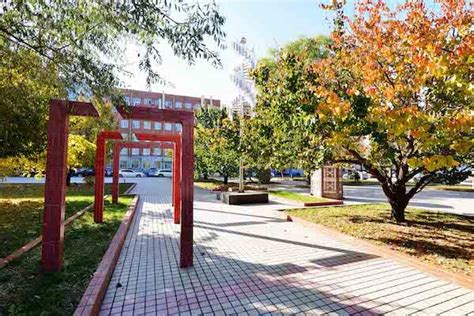 东北师范大学自考本科课程