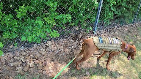 2023考研秋季集训营