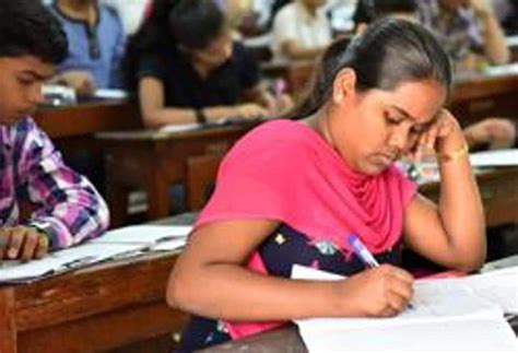 2023考研鹰飞集训课程