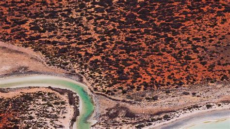 外校保送王牌特色课程