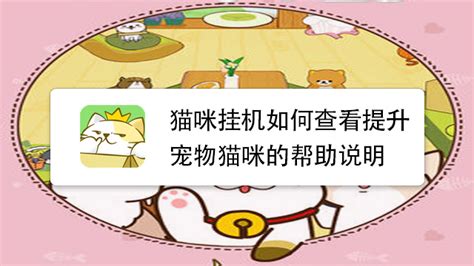 日语VIP1对1精品课程