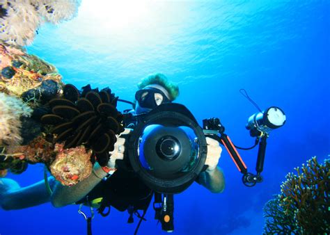 A-Level国际高中特色课程