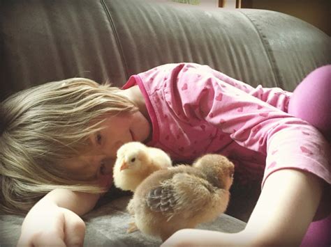 法语兴趣提升课程