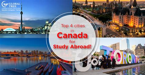 加拿大留学精品申请项目