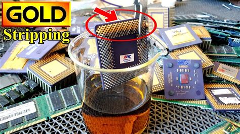 电脑金领进修特训课程