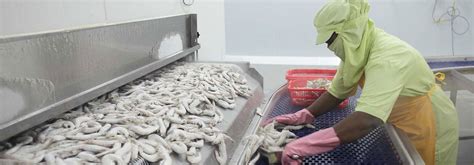 图像处理精品课程