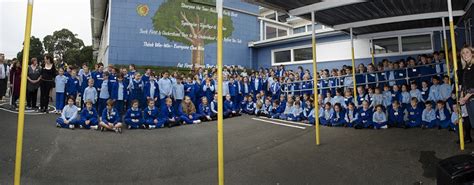 小学全科个性精品课程