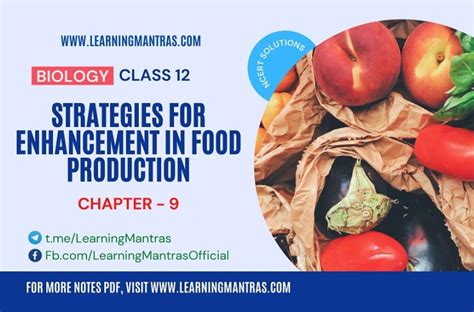 图形制作提升课程