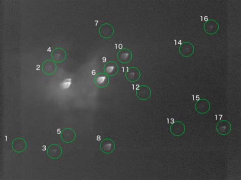 明星团操实用课程