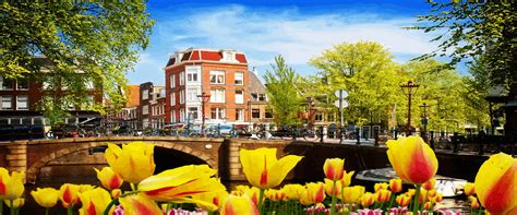 荷兰留学精品项目