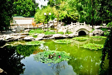 北京语言大学远程教育课程